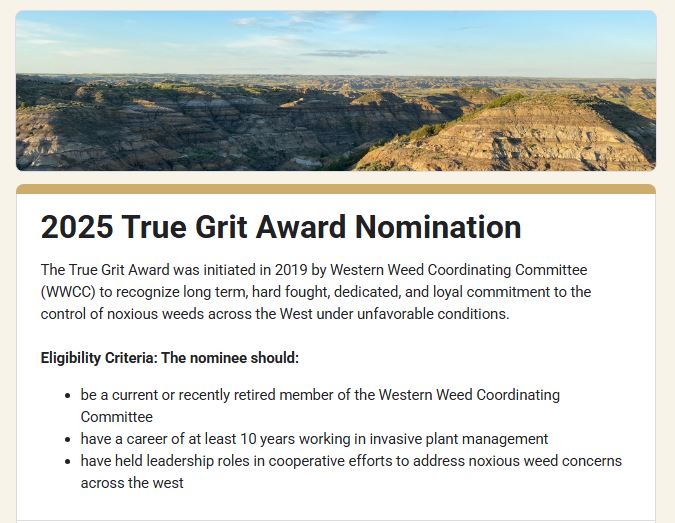 Screenshot of the 2024 True Grit nomination form. Follow the form link to access the webpage.
